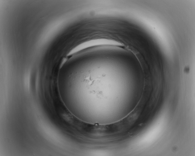 X0000102780382200808251121