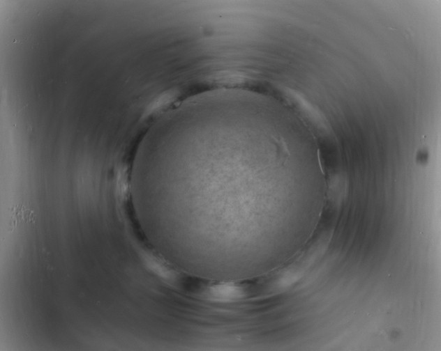 X0000102780383200808251121