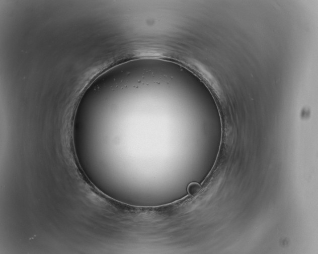 X0000102780385200808251121