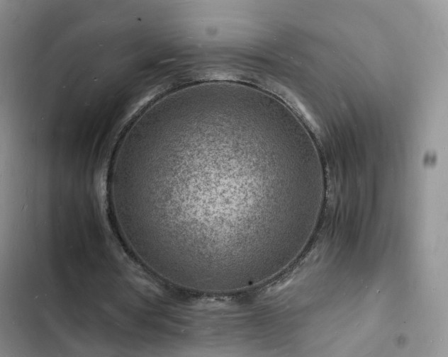 X0000102780386200808251121