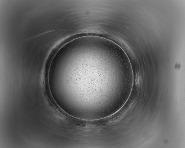 X0000102780388200808251121