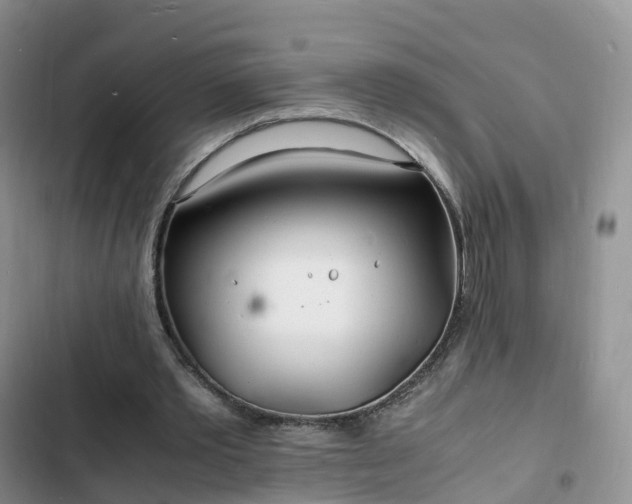 X0000102780389200808251121