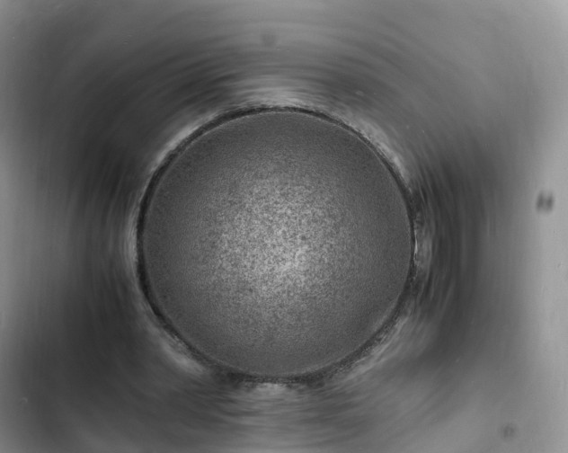 X0000102780390200808251121