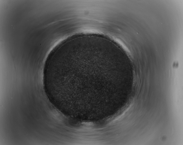 X0000102780391200808251121