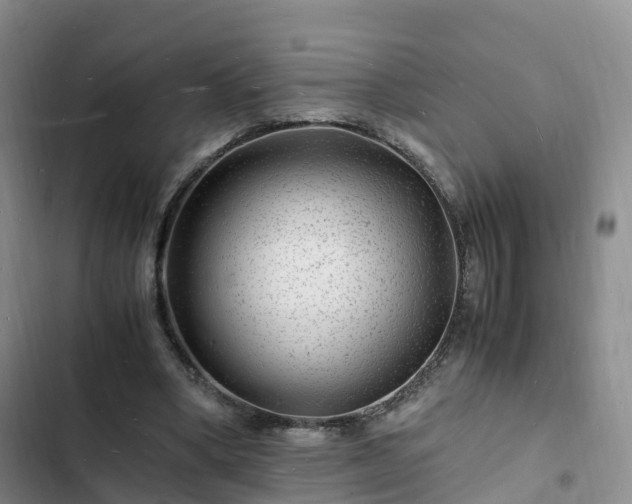 X0000102780394200808251121