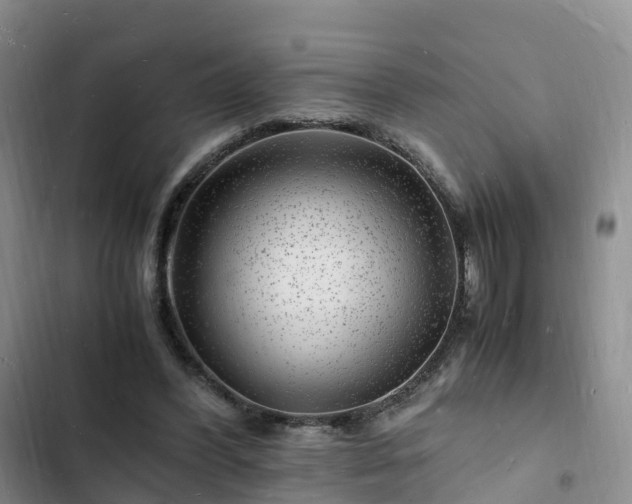 X0000102780396200808251121