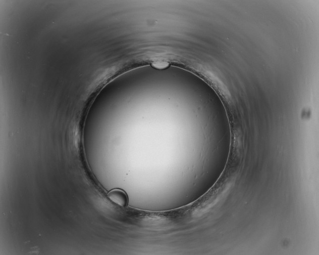 X0000102780397200808251121