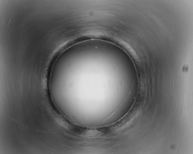 X0000102780399200808251121