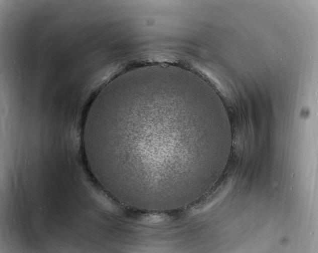 X0000102780402200808251121