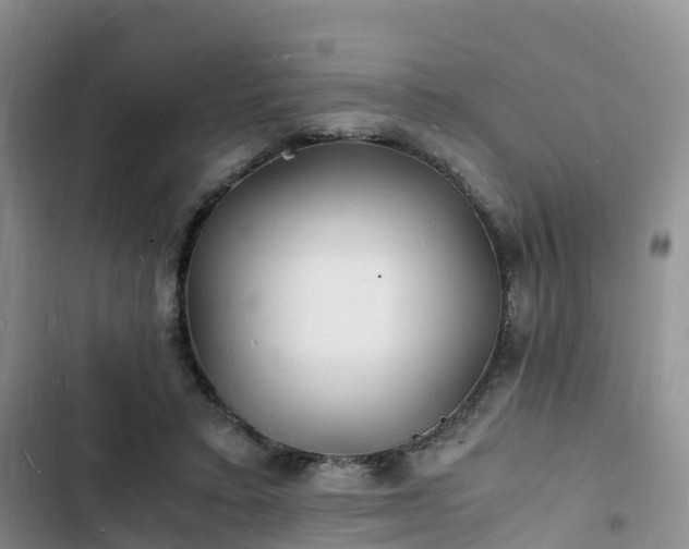 X0000102780403200808251121