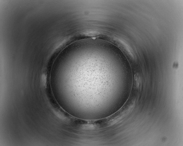 X0000102780404200808251121