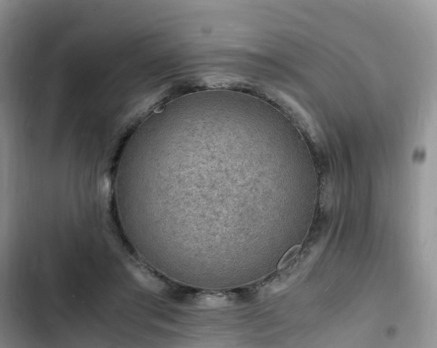 X0000102780405200808251120