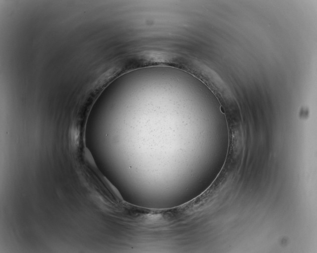 X0000102780406200808251120