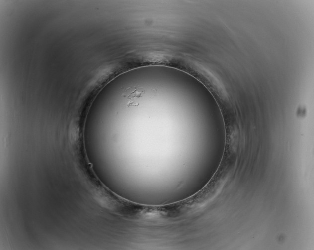 X0000102780407200808251120