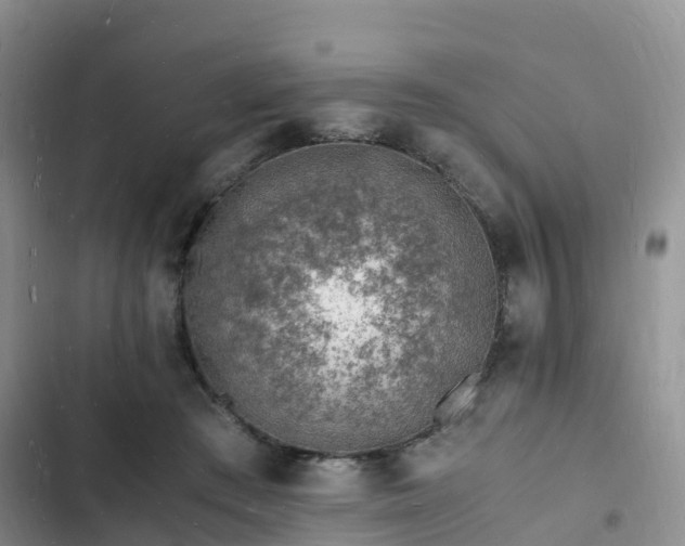 X0000102780409200808251120