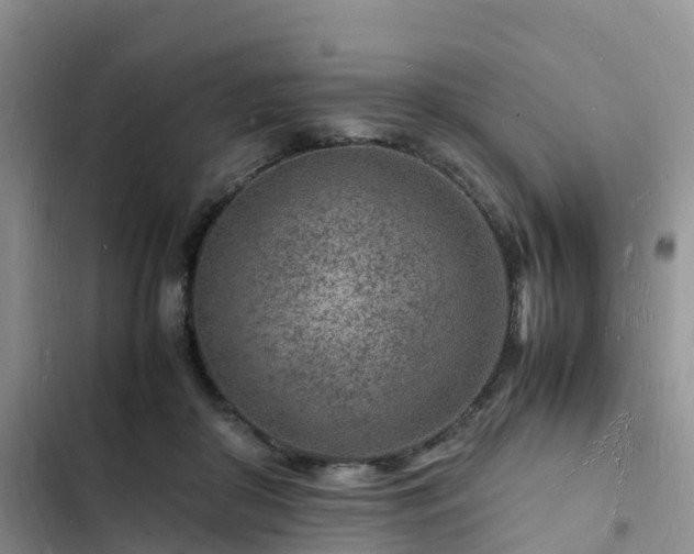 X0000102780410200808251120