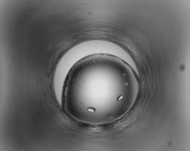 X0000102780411200808251120