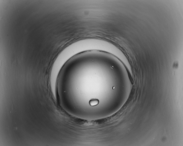 X0000102780415200808251120