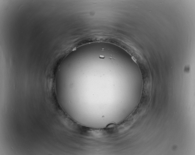 X0000102780417200808251120