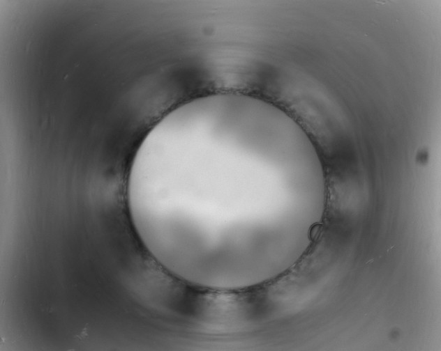 X0000102780419200808251120