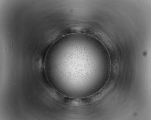 X0000102780420200808251120