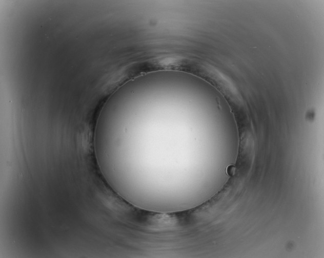 X0000102780421200808251120