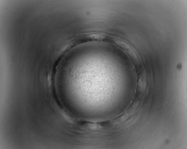 X0000102780424200808251120