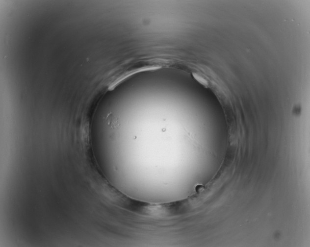 X0000102780425200808251120