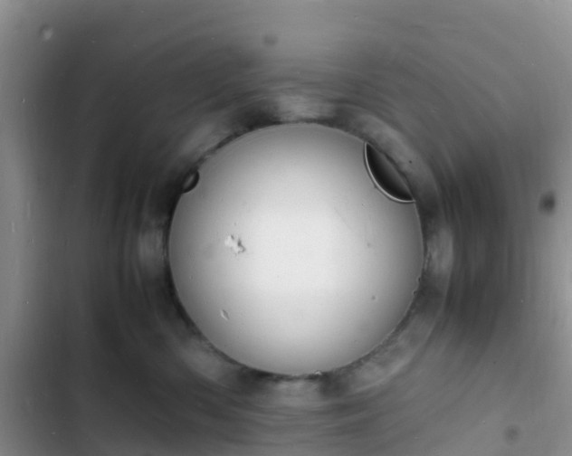 X0000102780426200808251120