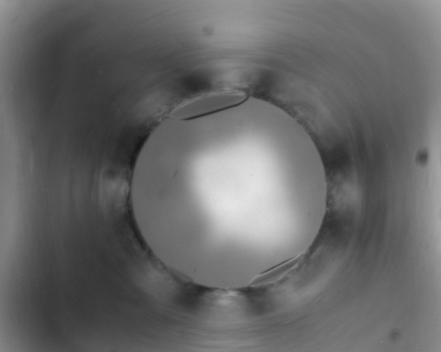 X0000102780427200808251120