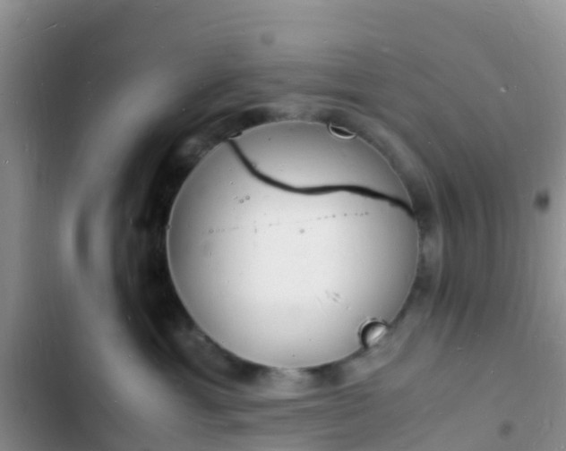 X0000102780429200808251120