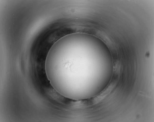 X0000102780430200808251120