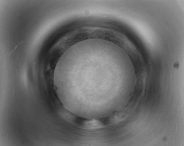 X0000102780431200808251120