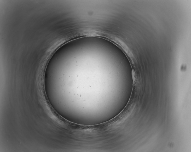 X0000102780433200808251119