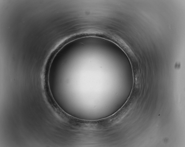 X0000102780436200808251119