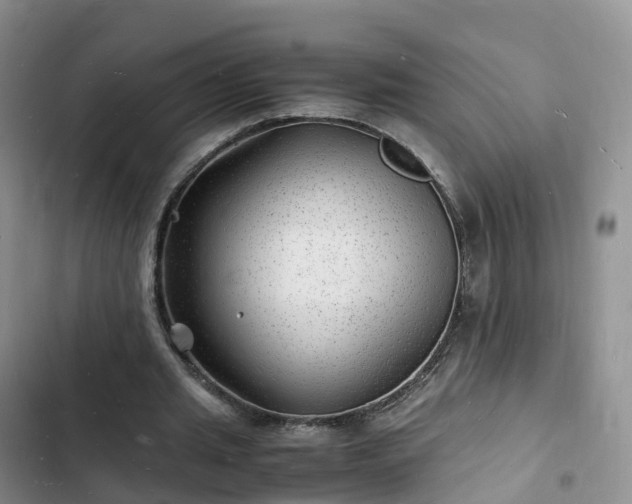 X0000102780437200808251120