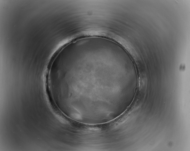 X0000102780438200808251120