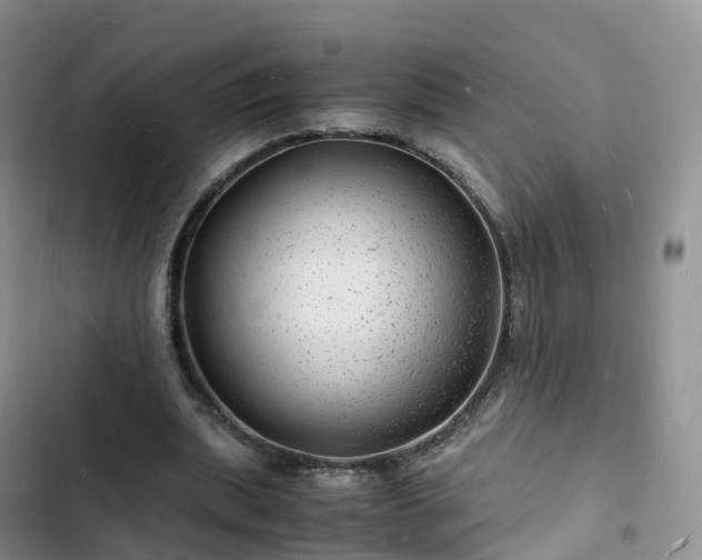 X0000102780439200808251120