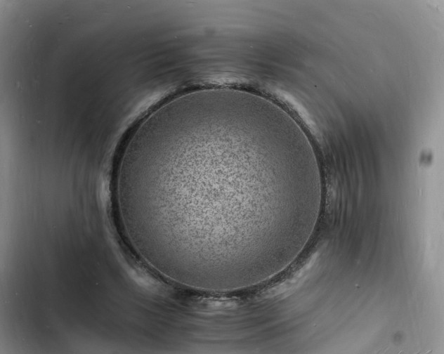 X0000102780443200808251120