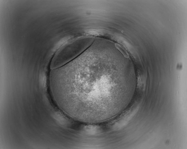 X0000102780444200808251120