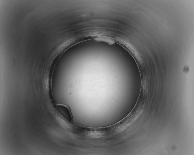 X0000102780445200808251120