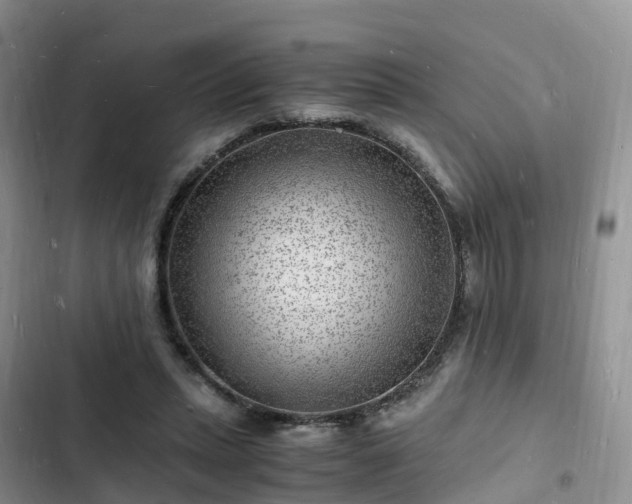 X0000102780447200808251120