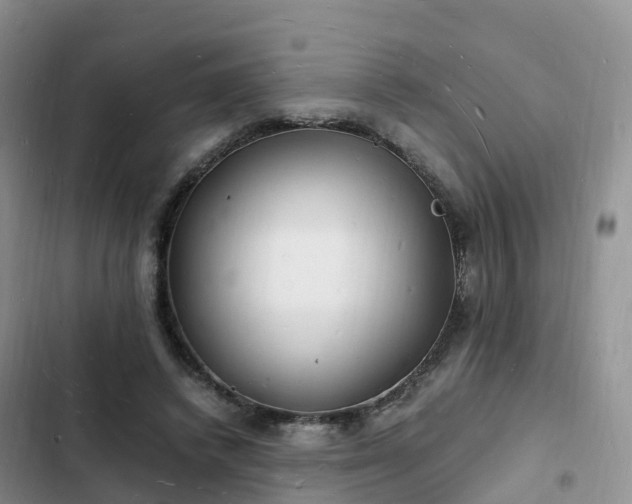 X0000102780448200808251120