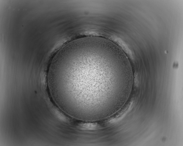 X0000102780449200808251120