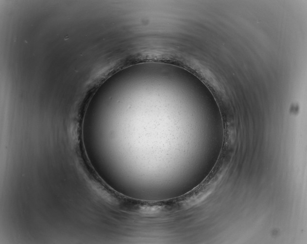 X0000102780450200808251120