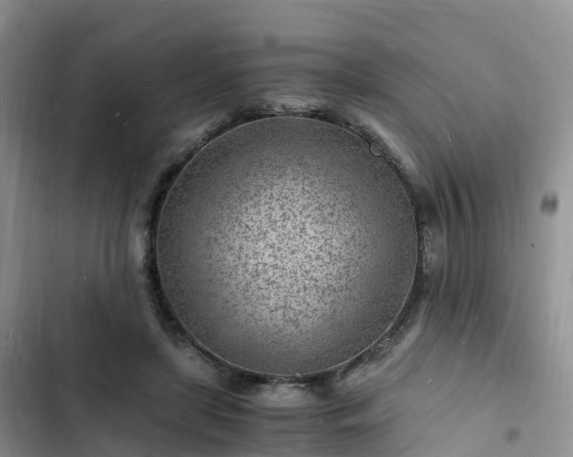 X0000102780451200808251120