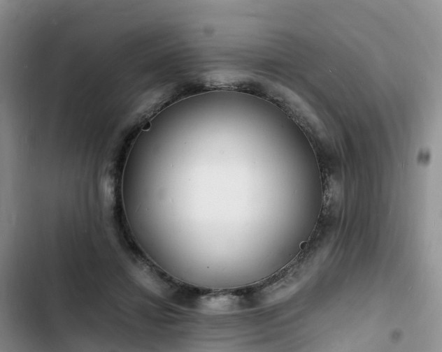 X0000102780452200808251120