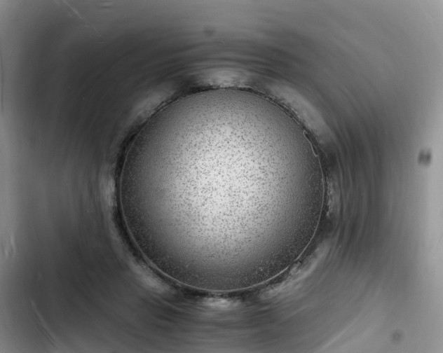 X0000102780453200808251120