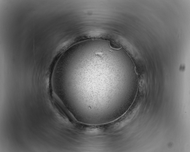 X0000102780454200808251120