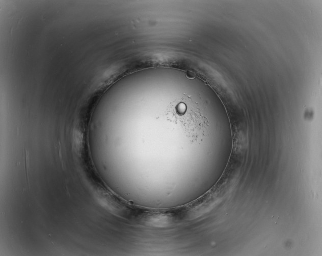 X0000102780456200808251120